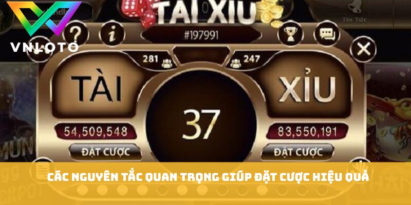 Các nguyên tắc quan trọng giúp đặt cược hiệu quả