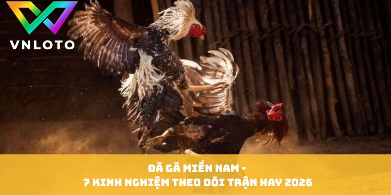 Đá Gà Miền Nam thumbnail