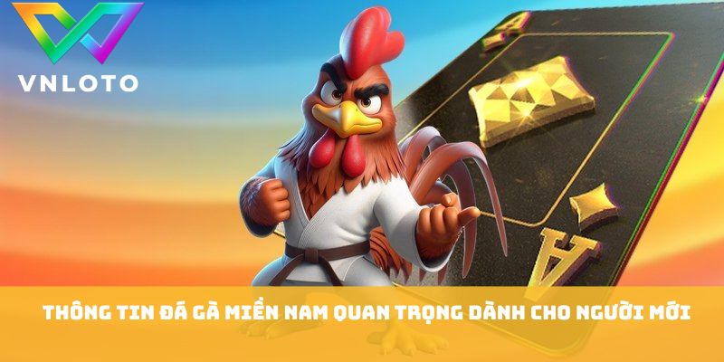 Thông tin đá gà miền nam quan trọng dành cho người mới