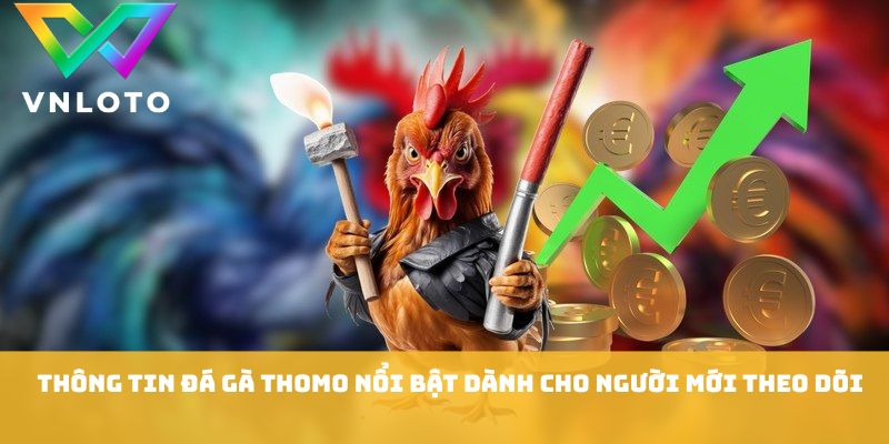 Thông tin đá gà thomo nổi bật dành cho người mới theo dõi